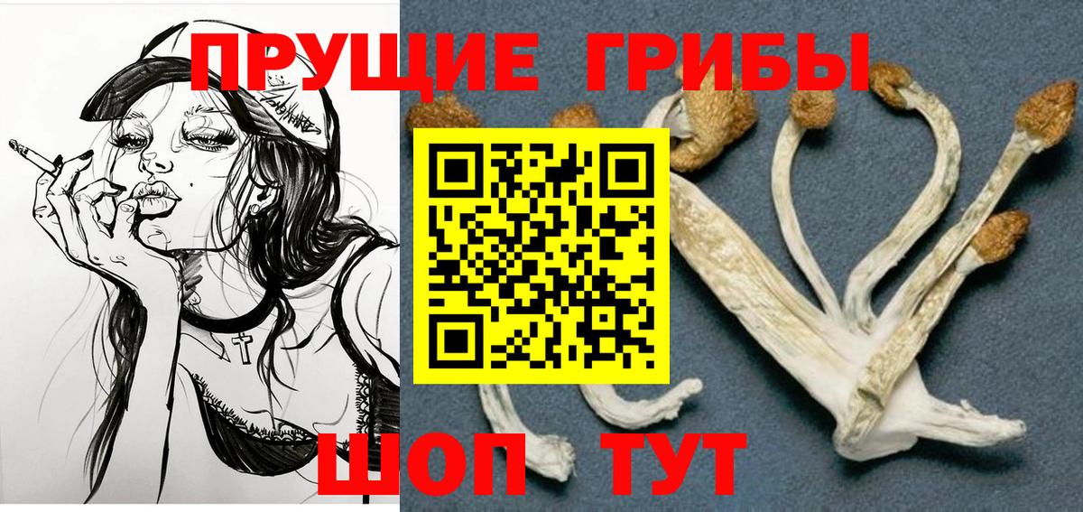 сколько стоит  Вход с VPN  Кимовск  Галлюциногенные грибы ЛСД 