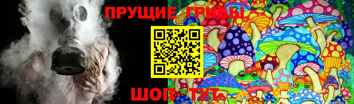 Галлюциногенные грибы Psilocybine cubensis Кимовск